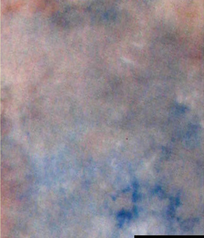 Falcon Eyes baggrundsstof S122 2,9x7 m