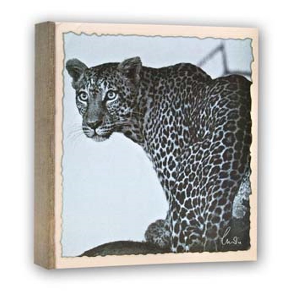 Zep fotoalbum WL57100 Slip-in 100 fotos, 13x19 cm 12 album